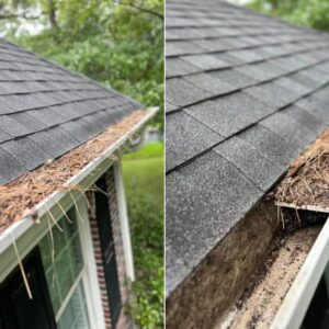 Gutter Cleaning in Garden City